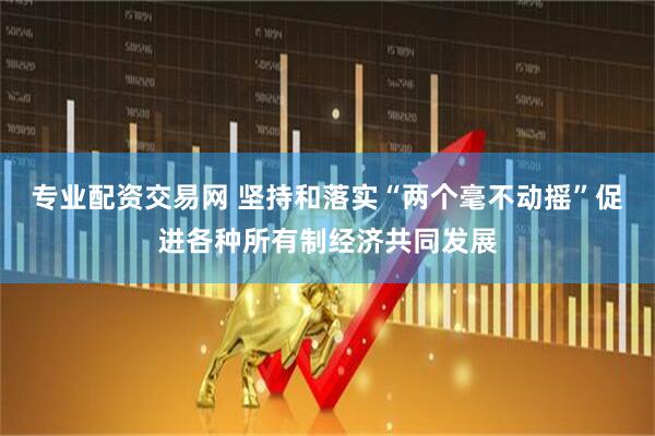 专业配资交易网 坚持和落实“两个毫不动摇”促进各种所有制经济共同发展