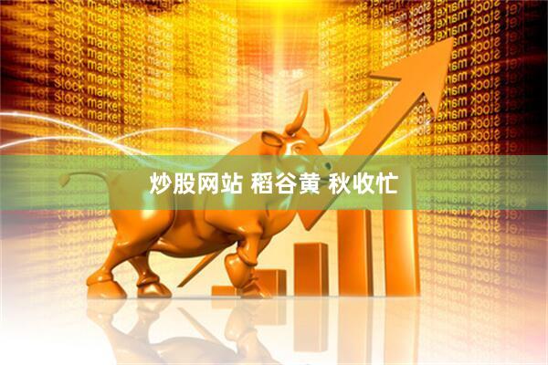 炒股网站 稻谷黄 秋收忙