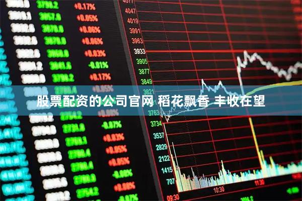 股票配资的公司官网 稻花飘香 丰收在望